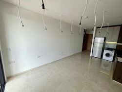 Urban Treasures (D14), Condominium #539581501